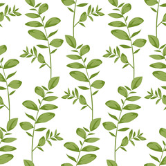 Vector seamless pattern with eucalyptus branches on white background. Can used for trendy wedding design, cards, paper and other