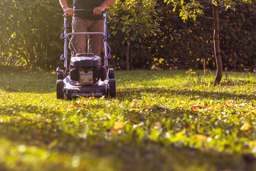 Mowing the grass with a lawn mower in garden at early autumn