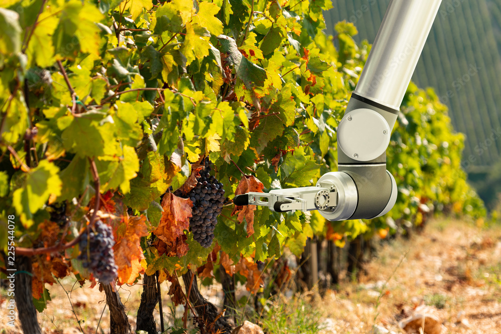 Aufkleber the robot arm is working in the vineyard. smart farming and digital agriculture.
