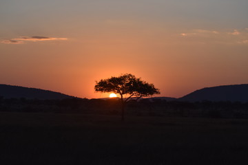 sunet in Africa