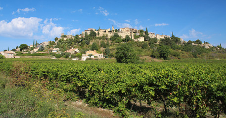 Fototapeta na wymiar Faucon in der Provence