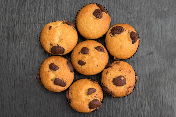 Chocolate chip muffins. View from above.