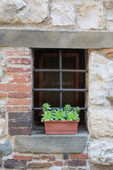 Fototapeta na wymiar Succulent plants on a brick window ledge in Radda, Tuscany, Italy