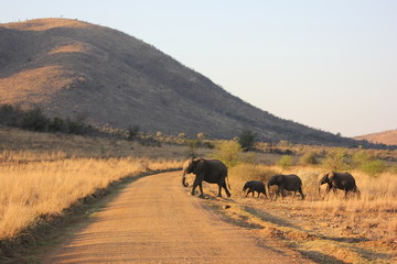 Namibia
