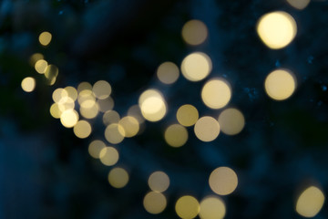 Partly focused yellow Christmas lights hanging on dark tree branch with a beautiful large bokeh on the background