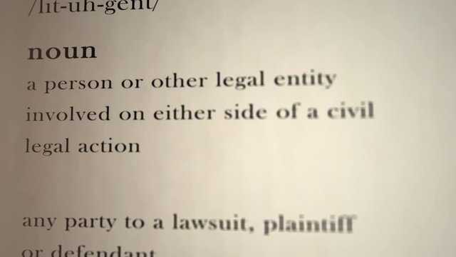 Litigant Definition  