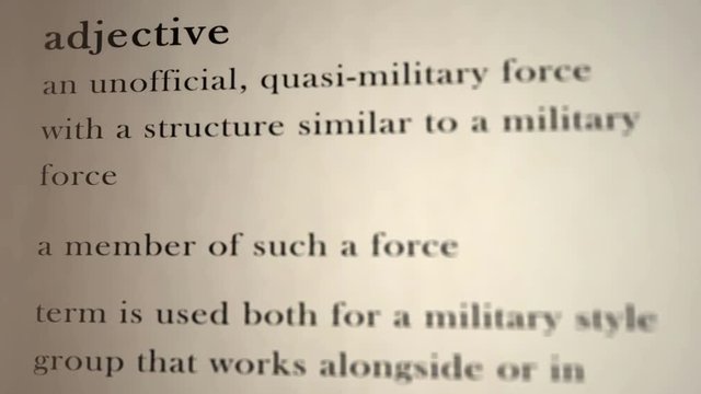 Paramilitary Definition  
