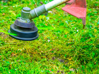 Trimmer cutting green grass closup in garden