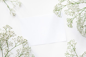 White background with a blank piece of paper surrounded by dried wild flowers
