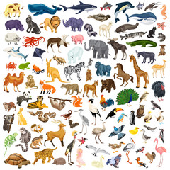 Animals icon set. Cartoon set of animals vector icons for web design