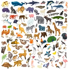 Foto op Plexiglas Animals icon set. Cartoon set of animals vector icons for web design © anatolir