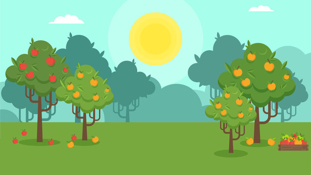 Natural landscape with an apple orchard. Autumn harvest on a farm. Flat vector illustration.