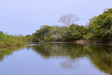 Fototapeta na wymiar view of the jungle reflecting in the river.