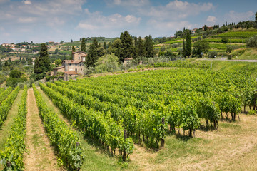 Fototapeta na wymiar View of a winery and vineyards in the rolling hills near Radda, Chianti, Tuscany