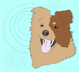 dog portrait profile, look down