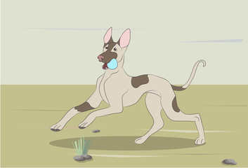 dog running, color, vector