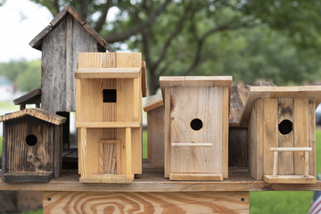 Bird Houses