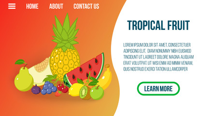 Tropical fruit concept banner. Isometric banner of tropical fruit vector concept for web, giftcard and postcard