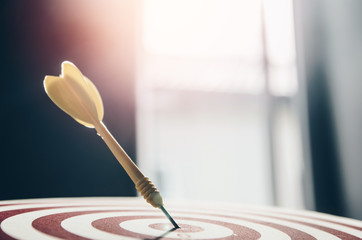 target dart pin on center 10 point dartboard  Marketing concept.