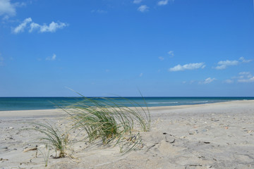 Küstenlandschaft im nationalpark thy, nord jütland