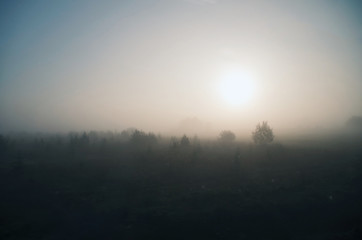 Sunrise over the misty landscape