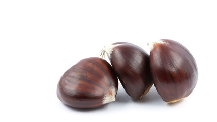 blur in the light background lots of chestnut