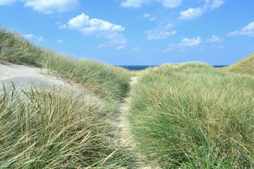 K&uuml;stenlandschaft im nationalpark thy, nord j&uuml;tland
