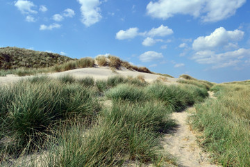 Küstenlandschaft im nationalpark thy, nord jütland