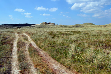 K&uuml;stenlandschaft im nationalpark thy, nord j&uuml;tland