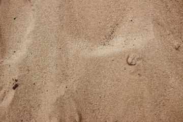 Sand background. Image of coastline, close-up