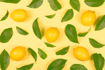 Five lemons with lemon tree leaves on yellow