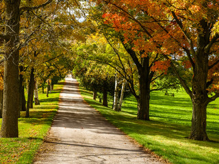Path to Fall colors