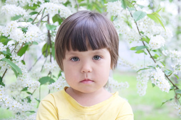 Little girl portrait in spring 4 years old, kindly smiling child toddler in front of blossoming white flowers