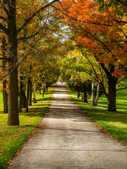 Obraz premium Changing colorful fall path 