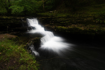waterfall in the forest