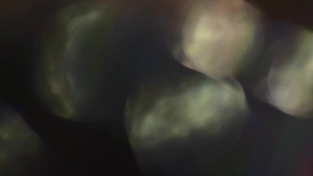 Colorful bokeh. Holographic iridescent foil. Multicolored shiny surface and shining abstract background.