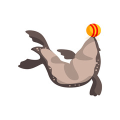 Fur seal playing with ball, sea animal performing in public in dolphinarium vector Illustration on a white background