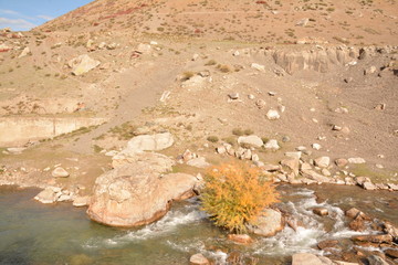 mountains landscape nature landscape view sky air oxygen autumn season grass trees blue yellow sand stone gray brown ridge water river rocks rock blue Altai Russia open space