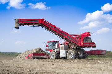 vehicle harvesting sugar beets