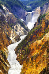 Fototapeta na wymiar Lower Yellowstone Waterfall Falls in Canyon National Park