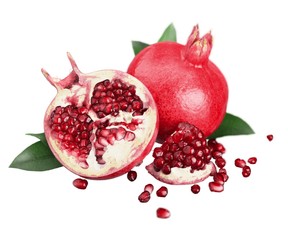 Pomegranates with Seeds