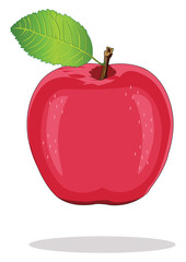 Apple Fruit Vector