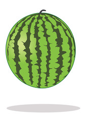 Watermelon Fruit Vector