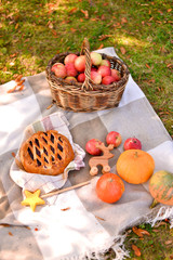 Autumn decorations ideas. Decorations for holiday party. A lot of food. 