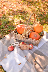 Autumn decorations ideas. Decorations for holiday party. A lot of food. 
