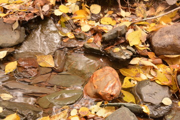 mountains landscape nature waterfall view sky air oxygen autumn season grass trees blue yellow sand stone gray brown water river rocks rock blue Altai Russia red orange