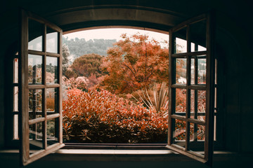 Autumn through an open vintage window