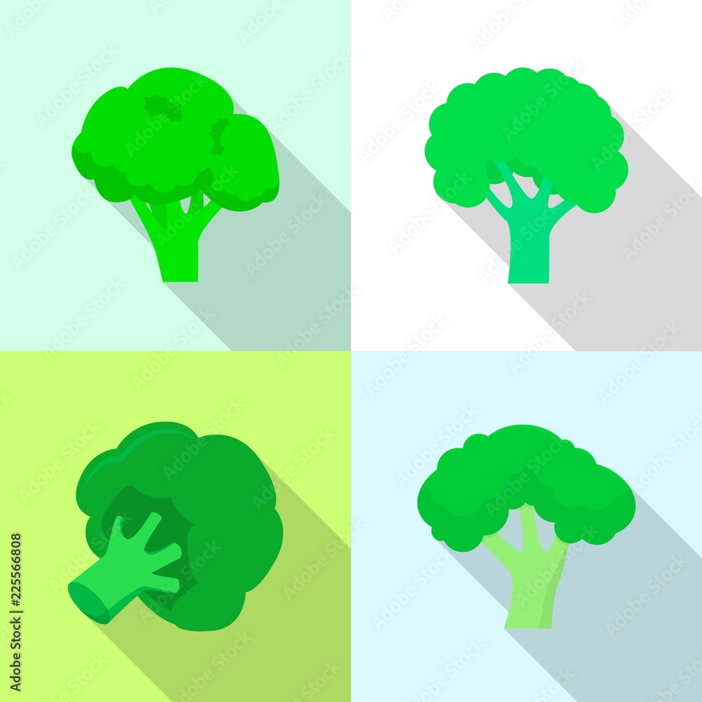 Poster Broccoli cabbage icon set. Flat set of broccoli cabbage vector icons for web design