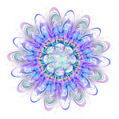 Digitally generated image. Colorful fractal, elegant, delicate flower pattern. Abstract floral fractal background for art projects.