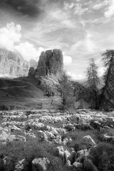 Italian Dolomites, the Cinque Torri at dawn.